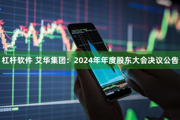 杠杆软件 艾华集团：2024年年度股东大会决议公告