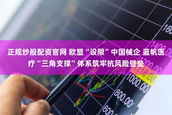 正规炒股配资官网 欧盟“设限”中国械企 蓝帆医疗“三角支撑”体系筑牢抗风险壁垒